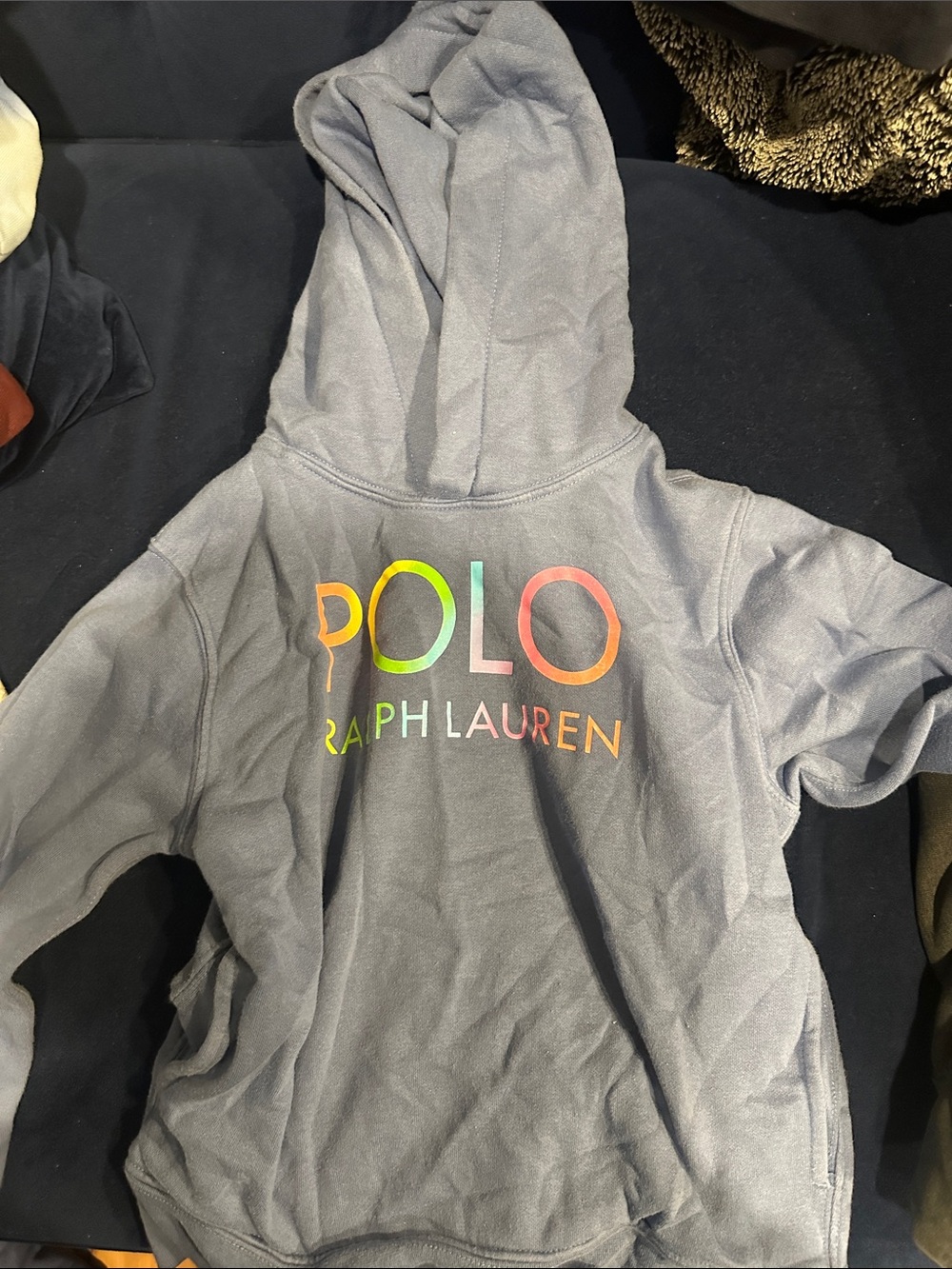 Polo by Ralph Lauren Kids Gray Hoodie with Rainbow Logo